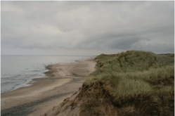 View of a beach from the top of a hill